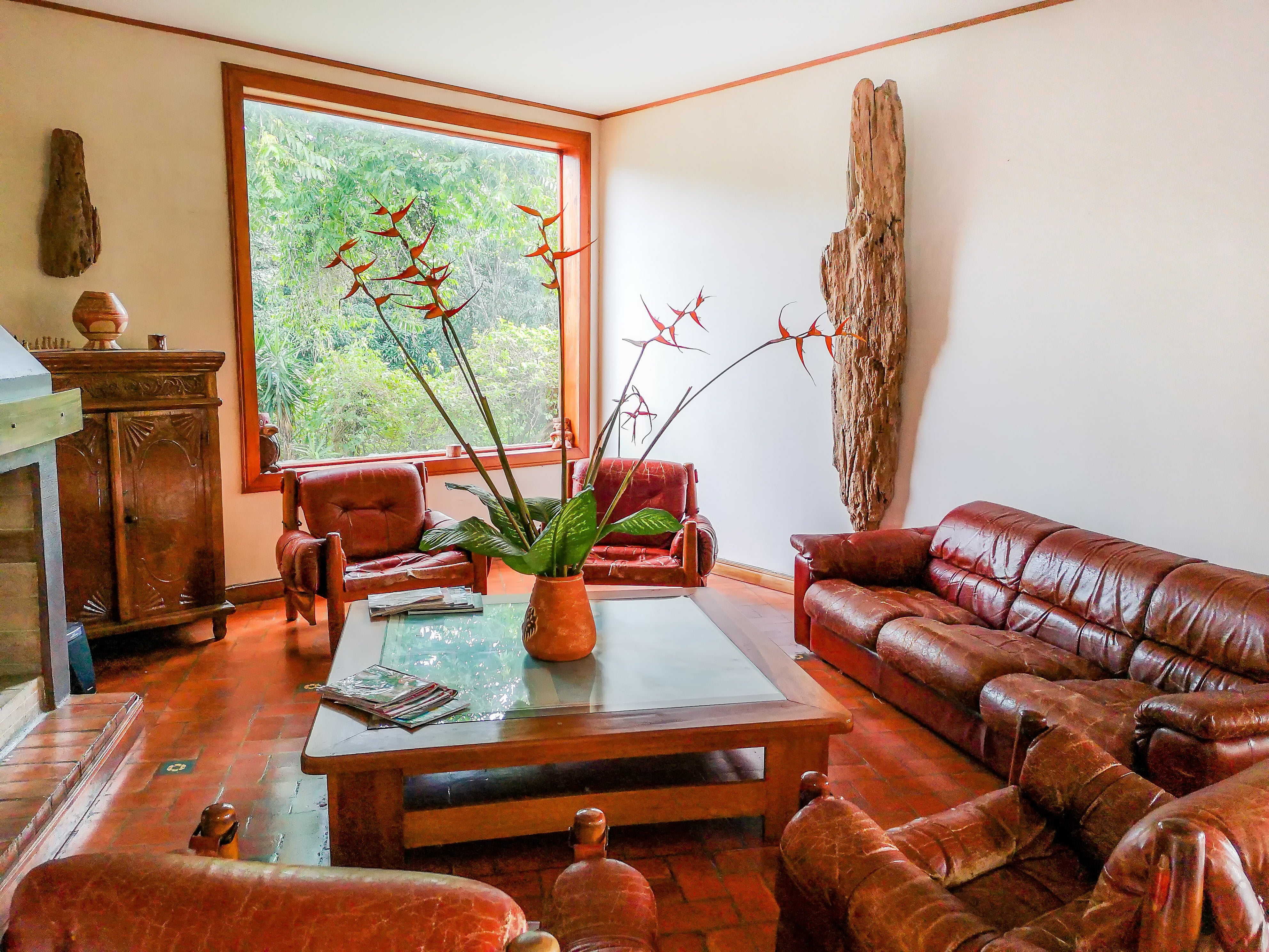 How to Clean a Leather Sofa